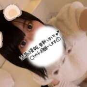 ヒメ日記 2025/10/24 08:26 投稿 りあ 美女のカタチ