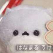 ヒメ日記 2025/11/14 16:56 投稿 りあ 美女のカタチ