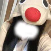 ヒメ日記 2025/12/25 14:19 投稿 れな♡未経験×パイパン♡ ぴゅあぱい熊本♡ぽちゃかわ巨乳専門♡誠実すぎる風俗♡返金保証店♡