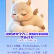 れな♡未経験×パイパン♡ 今日も〜 ぴゅあぱい熊本♡ぽちゃかわ巨乳専門♡誠実すぎる風俗♡返金保証店♡