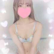 ヒメ日記 2025/10/04 23:46 投稿 ゆずりは プロフィール姫路