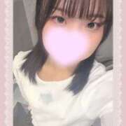 ヒメ日記 2026/10/13 13:58 投稿 ゆずりは プロフィール姫路