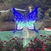 ヒメ日記 2025/10/11 12:15 投稿 ☆ともか奥様 club生奥様～福島店～