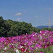 ヒメ日記 2025/10/19 13:18 投稿 ☆ともか奥様 club生奥様～福島店～