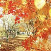 ヒメ日記 2025/11/08 13:03 投稿 ☆ともか奥様 club生奥様～福島店～