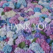 ヒメ日記 2025/11/09 22:42 投稿 ☆ともか奥様 club生奥様～福島店～