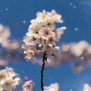 ヒメ日記 2026/04/04 14:12 投稿 ☆ともか奥様 club生奥様～福島店～