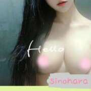 ヒメ日記 2026/02/09 17:16 投稿 篠原(しのはら) 秘密の逢瀬…○○妻(西条・東予・今治)