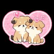 細川(ほそかわ) 出勤しました♪♪ 秘密の逢瀬…○○妻(西条・東予・今治)