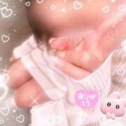 ヒメ日記 2026/05/01 22:14 投稿 川口(かわぐち)綺麗な顔立ち..期待の新人若妻☆ 秘密の逢瀬…○○妻(西条・東予・今治)