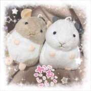 ヒメ日記 2025/10/06 22:45 投稿 なずな しゃんぜりぜ