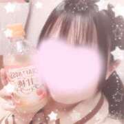 ヒメ日記 2025/11/14 13:01 投稿 なずな しゃんぜりぜ