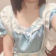 ヒメ日記 2025/11/15 12:54 投稿 なずな しゃんぜりぜ