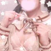 ヒメ日記 2025/11/19 21:33 投稿 なずな しゃんぜりぜ