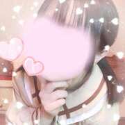 ヒメ日記 2025/11/20 07:32 投稿 なずな しゃんぜりぜ