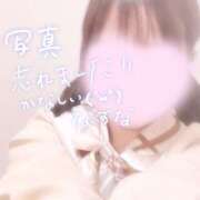 ヒメ日記 2025/11/22 16:18 投稿 なずな しゃんぜりぜ