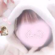 ヒメ日記 2025/12/02 06:30 投稿 なずな しゃんぜりぜ