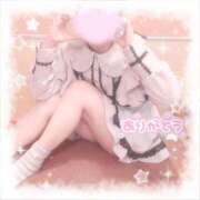 ヒメ日記 2025/12/02 15:40 投稿 なずな しゃんぜりぜ