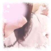 ヒメ日記 2025/12/02 16:37 投稿 なずな しゃんぜりぜ