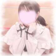 ヒメ日記 2025/12/03 20:30 投稿 なずな しゃんぜりぜ