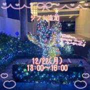 ヒメ日記 2025/12/14 09:05 投稿 なずな しゃんぜりぜ