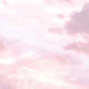 ヒメ日記 2025/10/07 18:16 投稿 ★サクラ色桃味★ Cinderella Collection(シンデレラコレクション)