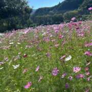 ヒメ日記 2025/10/13 19:22 投稿 ももね ロイヤル土佐