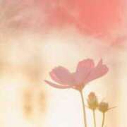 ももね 21日 ロイヤル土佐