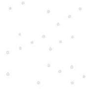 ヒメ日記 2025/12/08 19:45 投稿 ももね ロイヤル土佐