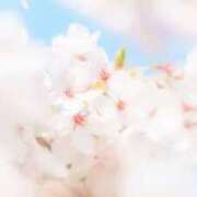 ヒメ日記 2026/04/10 14:34 投稿 ももね ロイヤル土佐