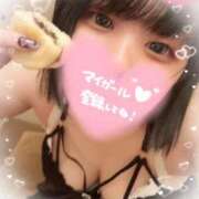 ヒメ日記 2025/10/09 14:41 投稿 るん 水戸ソープランド　水戸スリーナイン(9990)