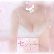 ヒメ日記 2025/10/12 13:25 投稿 れいら 西船人妻花壇