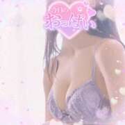 ヒメ日記 2025/11/14 12:36 投稿 れいら 西船人妻花壇