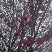 ヒメ日記 2026/02/11 17:53 投稿 うみ 熟女の風俗最終章 八王子店