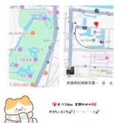 ヒメ日記 2025/11/03 18:42 投稿 宮野 ゆめの☆３ TiAmo（ティアモ）