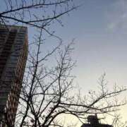 ヒメ日記 2025/12/03 08:02 投稿 宮野 ゆめの☆３ TiAmo（ティアモ）