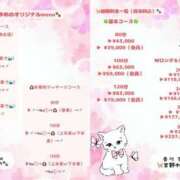 宮野 ゆめの☆３ 🐈ゆめのオリジナルmenu＆コース時間一覧🐾 TiAmo（ティアモ）