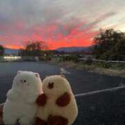 ヒメ日記 2025/11/27 11:50 投稿 みなみ わちゃわちゃ密着リアルフルーちゅ西船橋