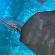 みなみ スイスイ🐟 わちゃわちゃ密着リアルフルーちゅ西船橋