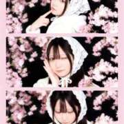 ヒメ日記 2026/03/25 08:29 投稿 うづき デザインプリズム新宿