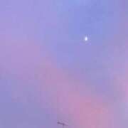 ヒメ日記 2025/10/29 20:54 投稿 藤崎みゆ 五十路マダムエクスプレス横浜店（カサブランカグループ）