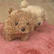 ヒメ日記 2025/11/01 00:34 投稿 藤崎みゆ 五十路マダムエクスプレス横浜店（カサブランカグループ）