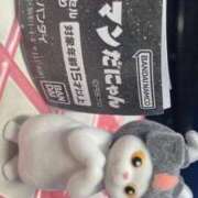 ヒメ日記 2025/11/09 15:08 投稿 藤崎みゆ 五十路マダムエクスプレス横浜店（カサブランカグループ）