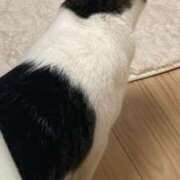 ヒメ日記 2025/11/10 20:44 投稿 藤崎みゆ 五十路マダムエクスプレス横浜店（カサブランカグループ）