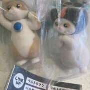 ヒメ日記 2025/11/14 13:48 投稿 藤崎みゆ 五十路マダムエクスプレス横浜店（カサブランカグループ）