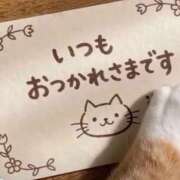 ヒメ日記 2025/11/23 13:48 投稿 藤崎みゆ 五十路マダムエクスプレス横浜店（カサブランカグループ）