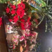 ヒメ日記 2025/11/29 07:30 投稿 藤崎みゆ 五十路マダムエクスプレス横浜店（カサブランカグループ）