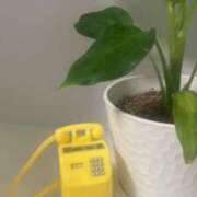 ヒメ日記 2025/12/02 21:02 投稿 藤崎みゆ 五十路マダムエクスプレス横浜店（カサブランカグループ）