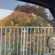 ヒメ日記 2025/12/03 20:36 投稿 藤崎みゆ 五十路マダムエクスプレス横浜店（カサブランカグループ）