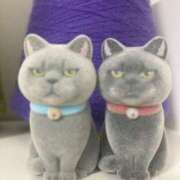 ヒメ日記 2025/12/07 08:52 投稿 藤崎みゆ 五十路マダムエクスプレス横浜店（カサブランカグループ）